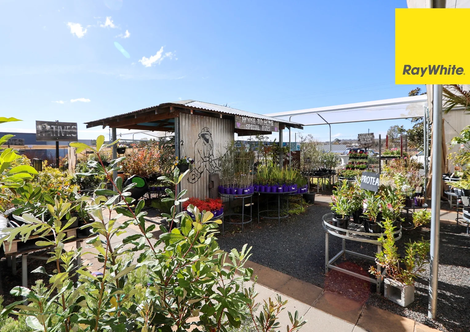 Additional image 11 of 160 Evans Street, Inverell NSW 2360