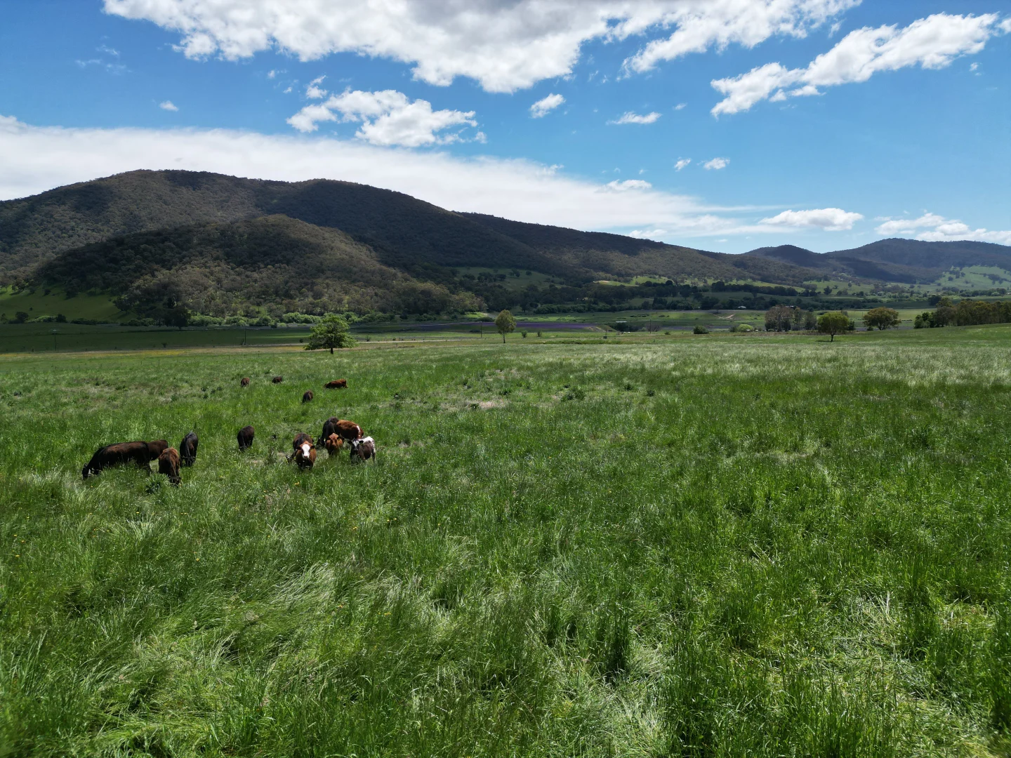 Additional image 16 of 1, Sec 19, "The Bloc Murray Valley Highway, Bullioh VIC 3700