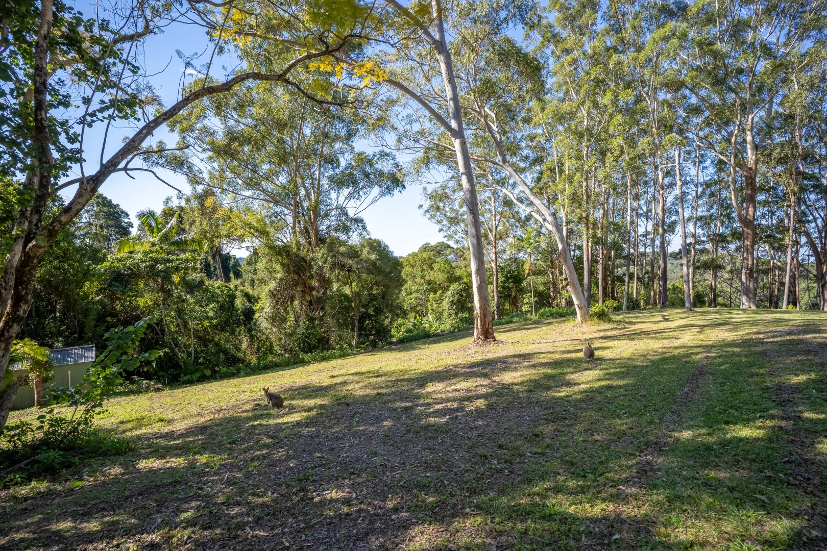Additional image 28 of 76 Maso Road, Repentance Creek NSW 2480
