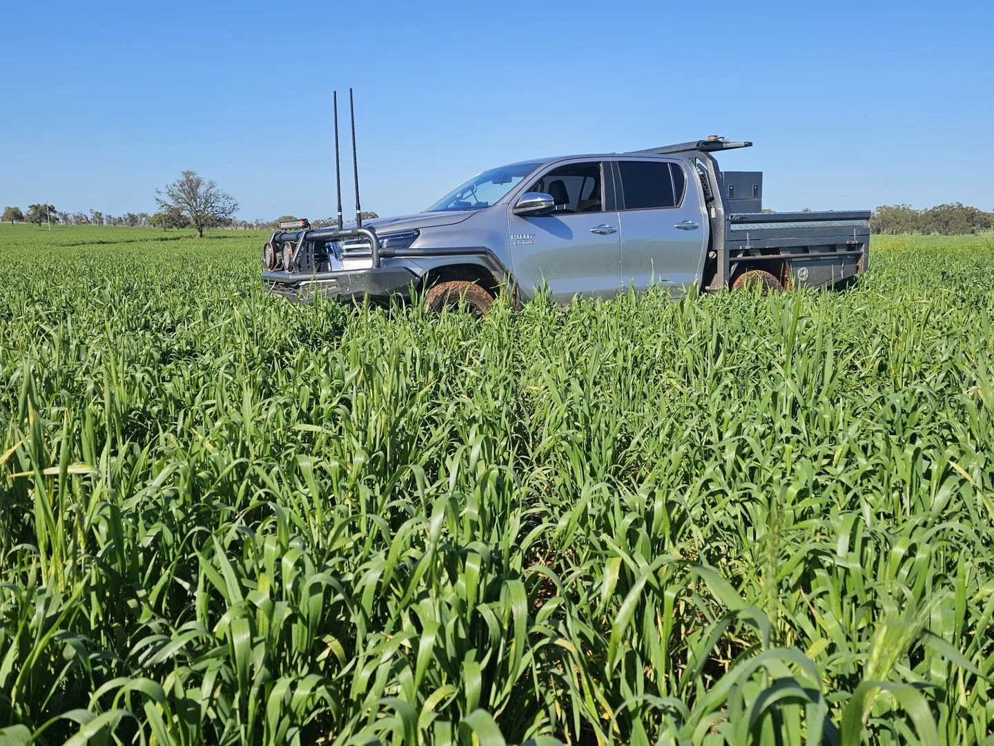 492 Eremeran Road, Condobolin NSW 2877