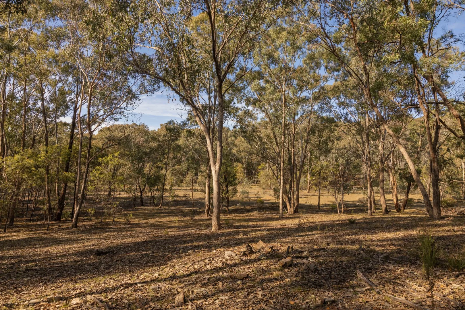 Additional image 7 of 318 White Cedars Road, Mudgee NSW 2850