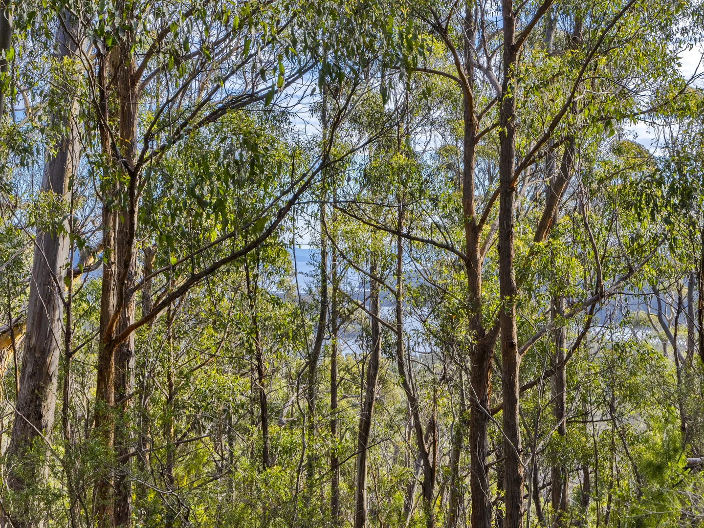 Additional image 6 of Lot 4 Tip Road, Nubeena TAS 7184
