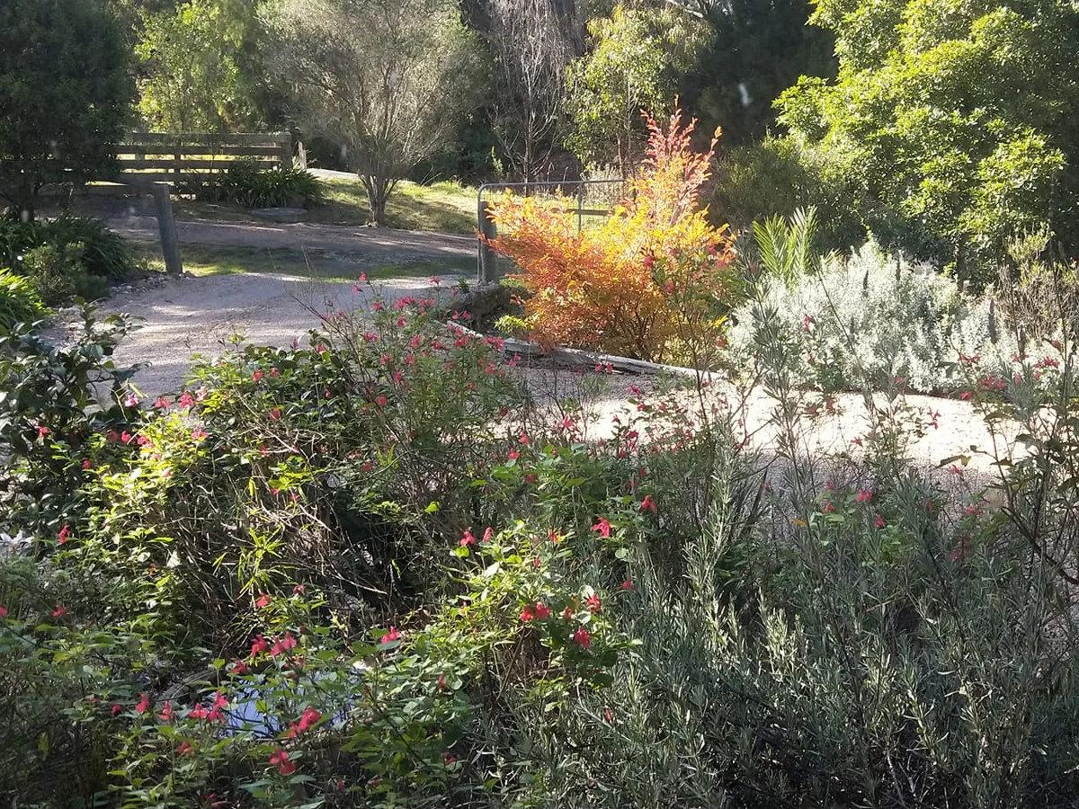 Additional image 29 of 29 Wood Street, Metung VIC 3904