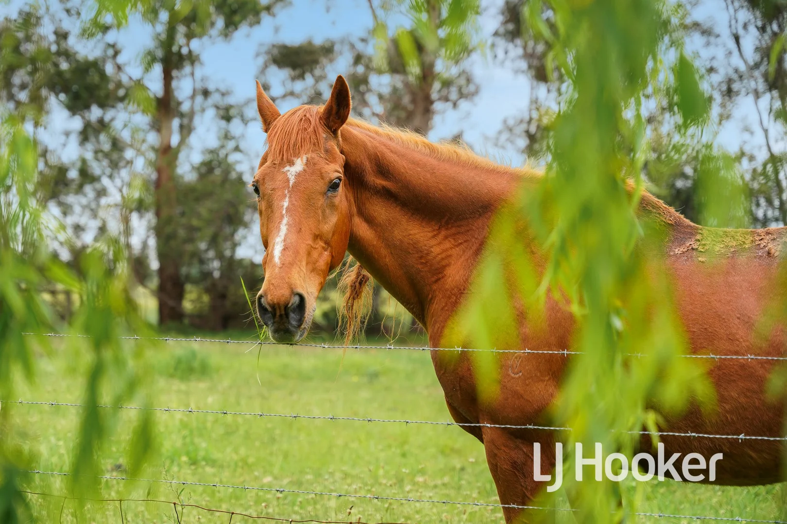 Additional image 18 of 65 McDonalds Road, Catani VIC 3981