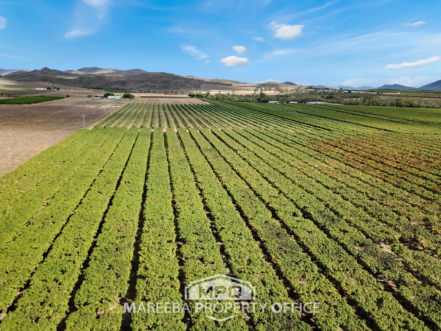 Additional image 8 of 65793 Burke Developmental Road, Dimbulah QLD 4872