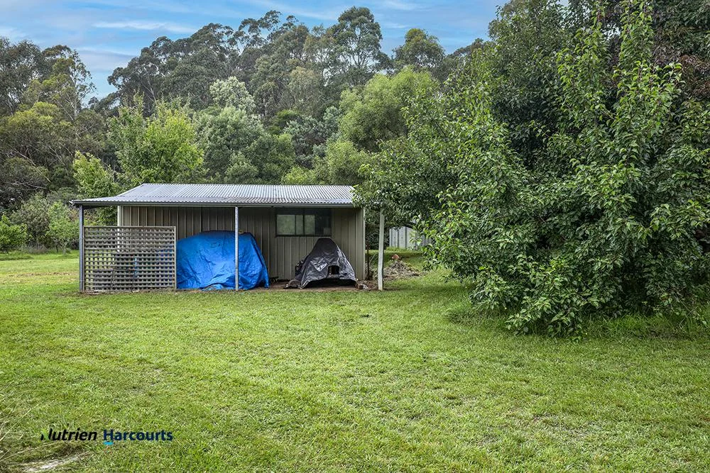 Additional image 28 of 506 Sawyers Ridge Road, Reidsdale NSW 2622