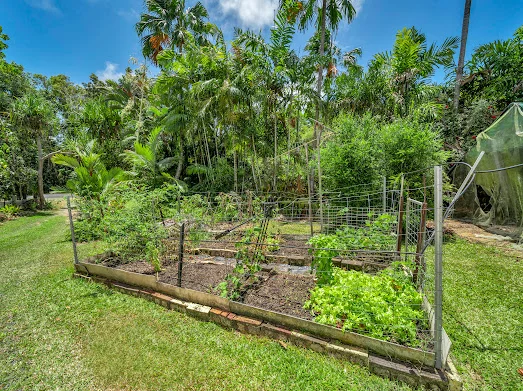 Additional image 8 of 582 Bingil Bay Road, Bingil Bay QLD 4852