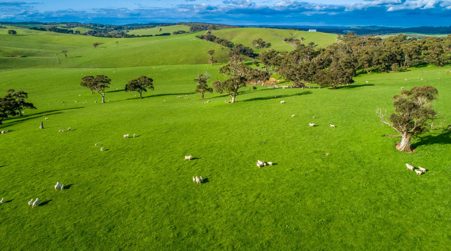Additional image 17 of Old Sellicks Hill Road, Sellicks Hill SA 5174