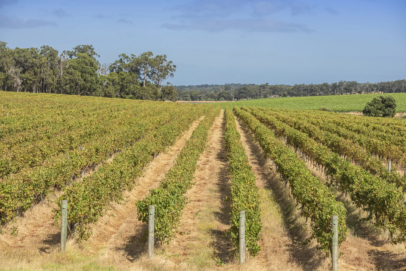 Additional image 9 of 243 Miamup Road, Cowaramup WA 6284