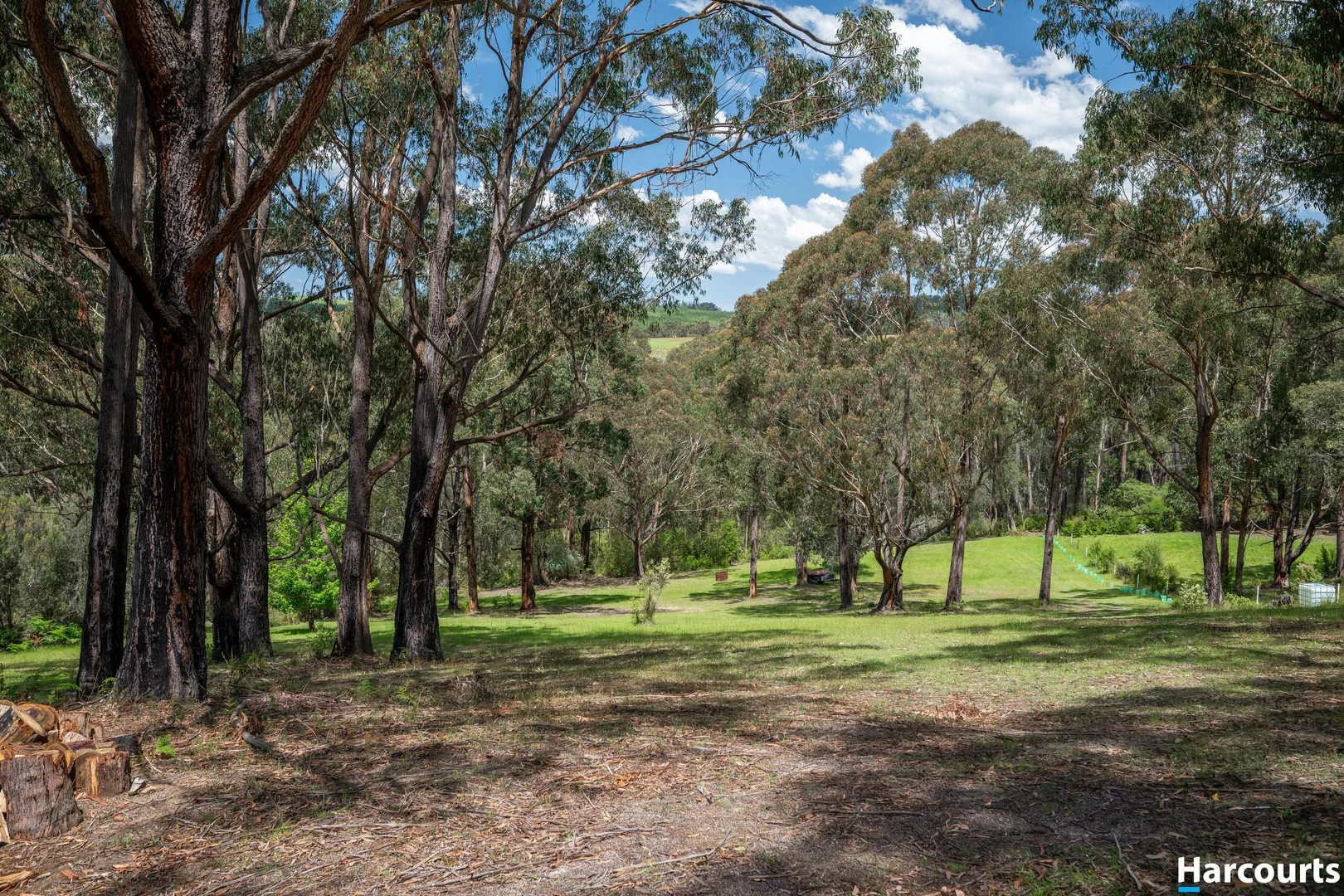 4B Gilfedder Terrace, Mirboo North VIC 3871