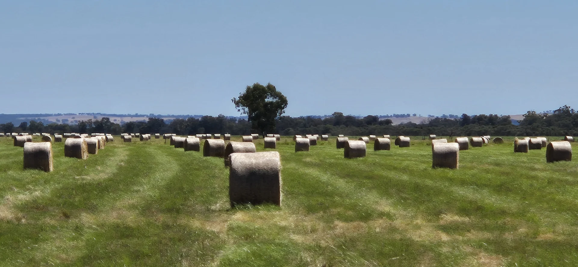 Additional image 2 of 4 Pin Pin Road, Beermullah WA 6503