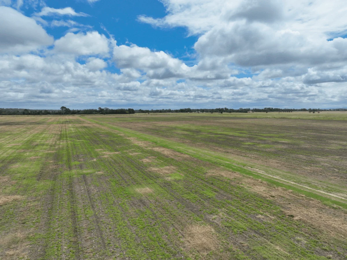 Additional image 9 of 360 Bungawalbin Whiporie Road, Bungawalbin NSW 2469