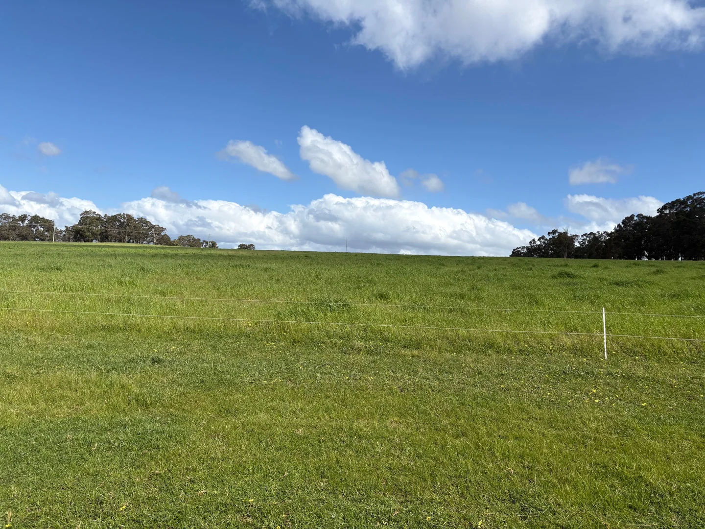 Additional image 10 of Lot 72 Beelerup Road, Beelerup WA 6239