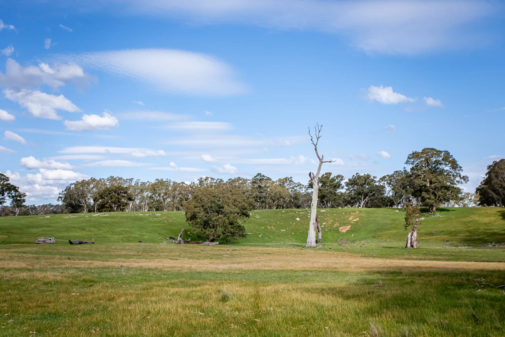 Additional image 29 of 219 Ockley Rd, Comaum SA 5277