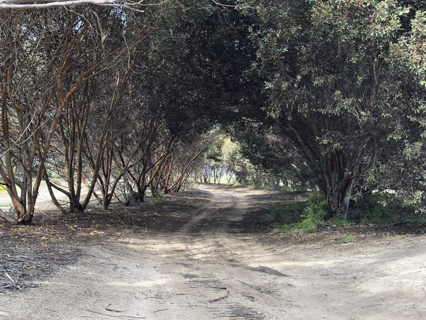 Additional image 14 of Parsons Beach SA 5575