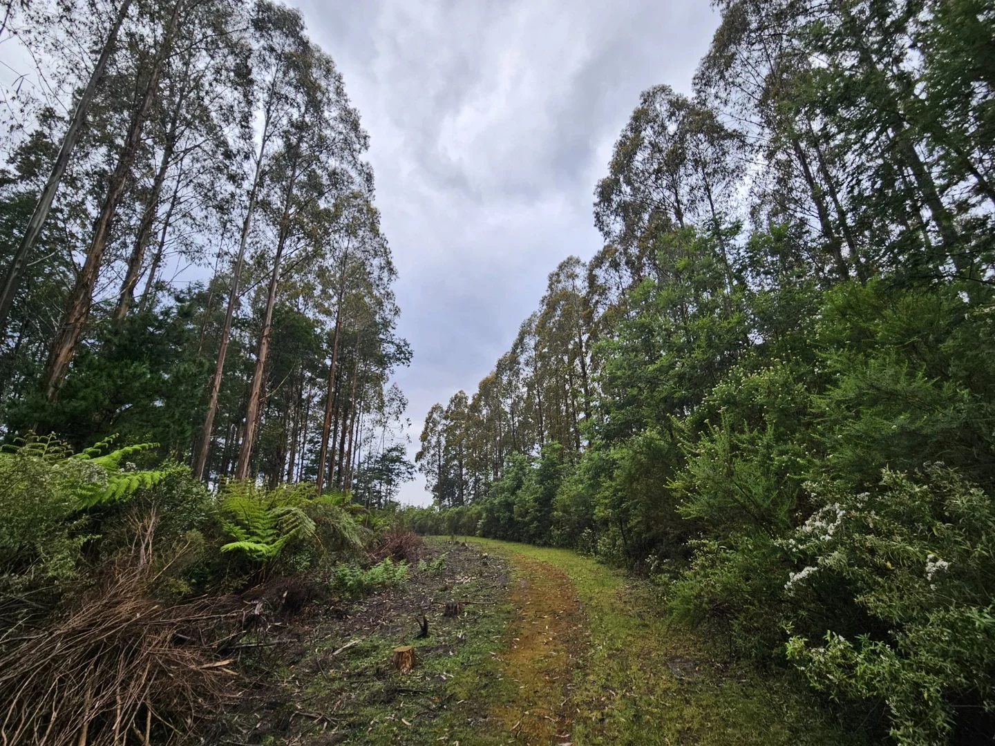 Additional image 19 of Grand Ridge VIC 3870