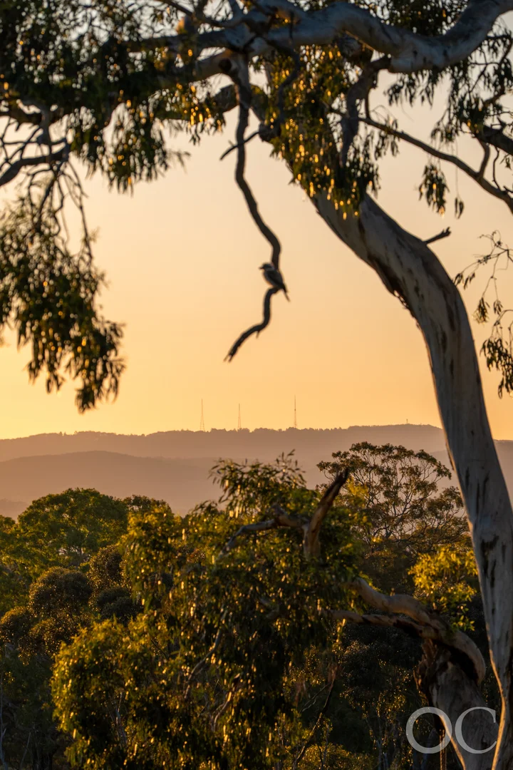 Additional image 40 of 111 Murdoch Hill Road, Woodside SA 5244