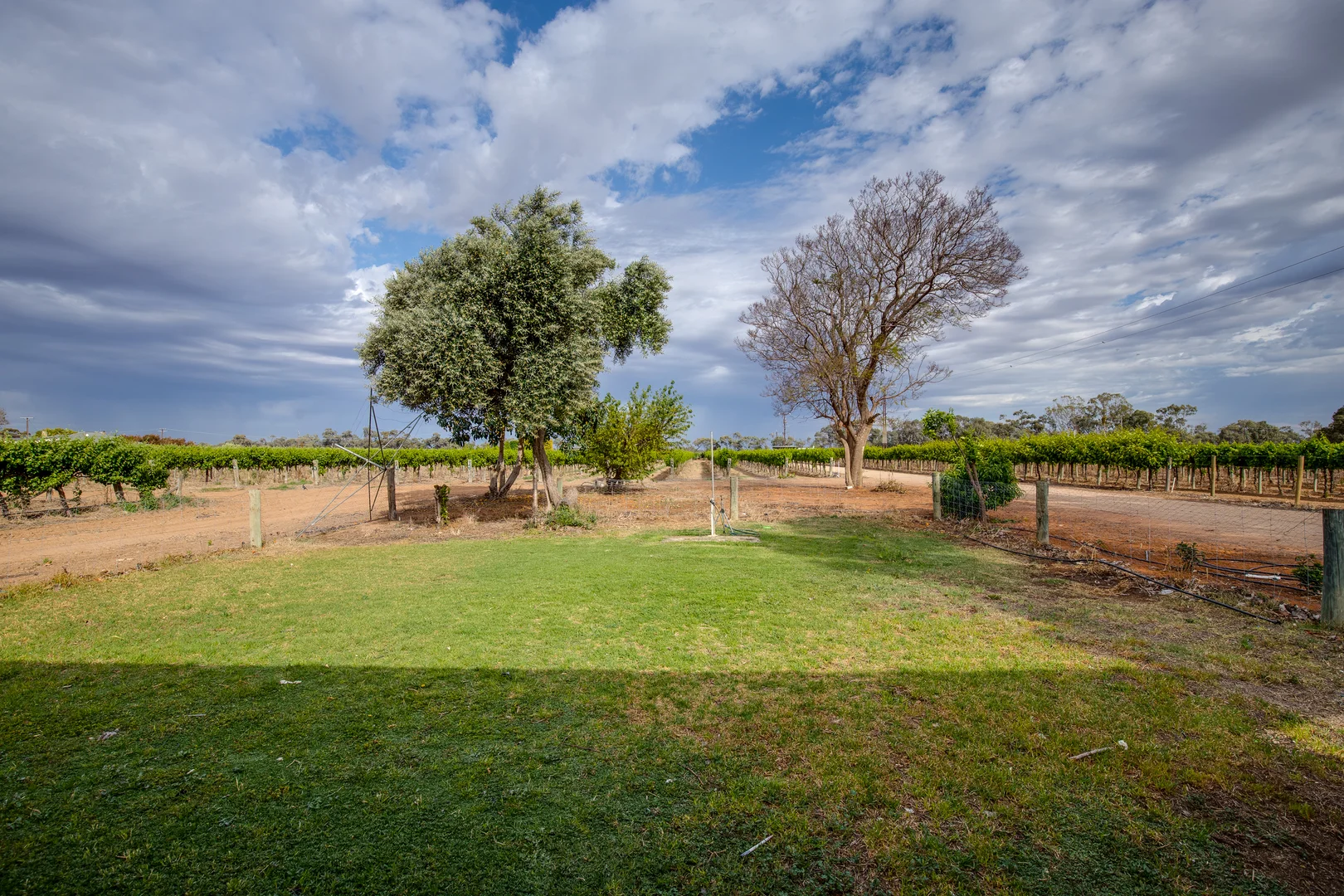 Additional image 26 of 50 Arnold Coats Road, Cobdogla SA 5346