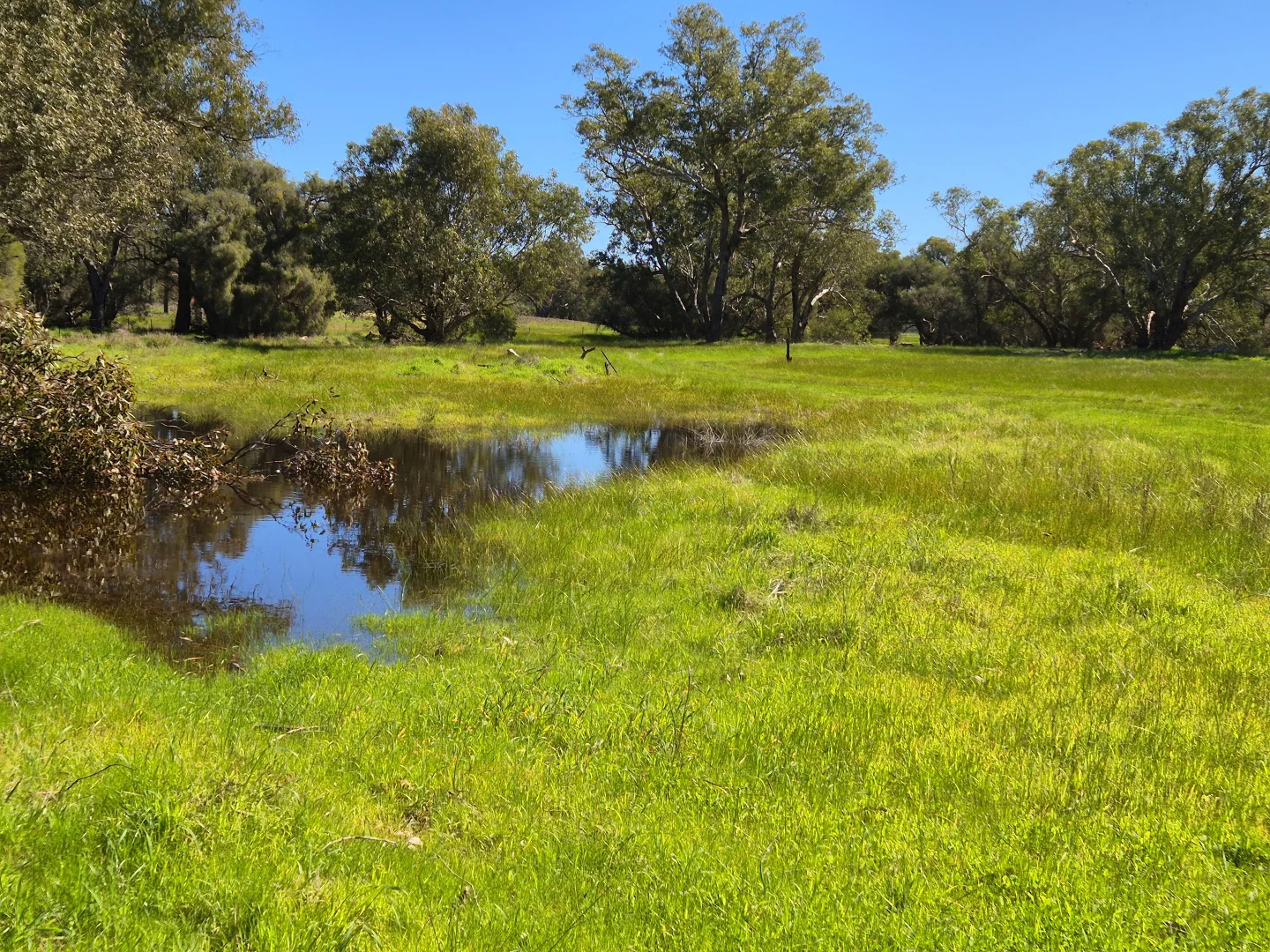 Additional image 18 of 190 Flourmill Cove, Cowalla WA 6503