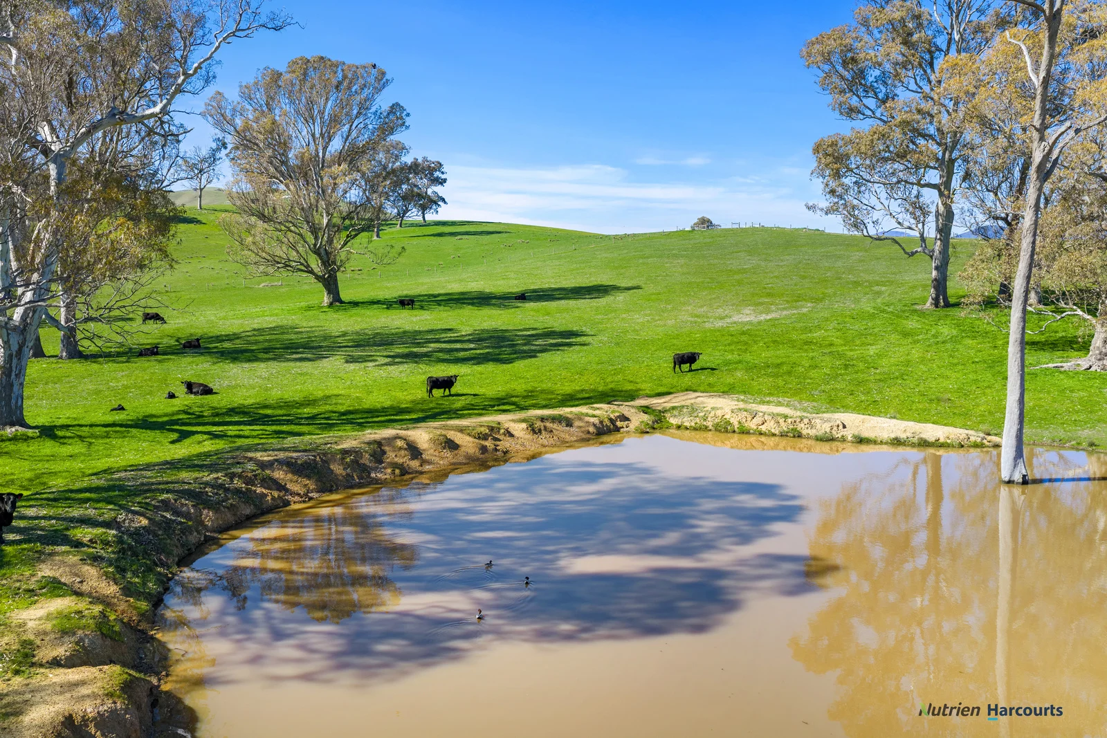 Additional image 3 of 2222 Goulburn Valley Highway, Alexandra VIC 3714
