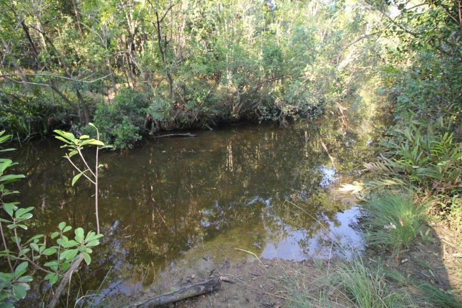 Additional image 33 of 684 Taunton Road, Taunton QLD 4674