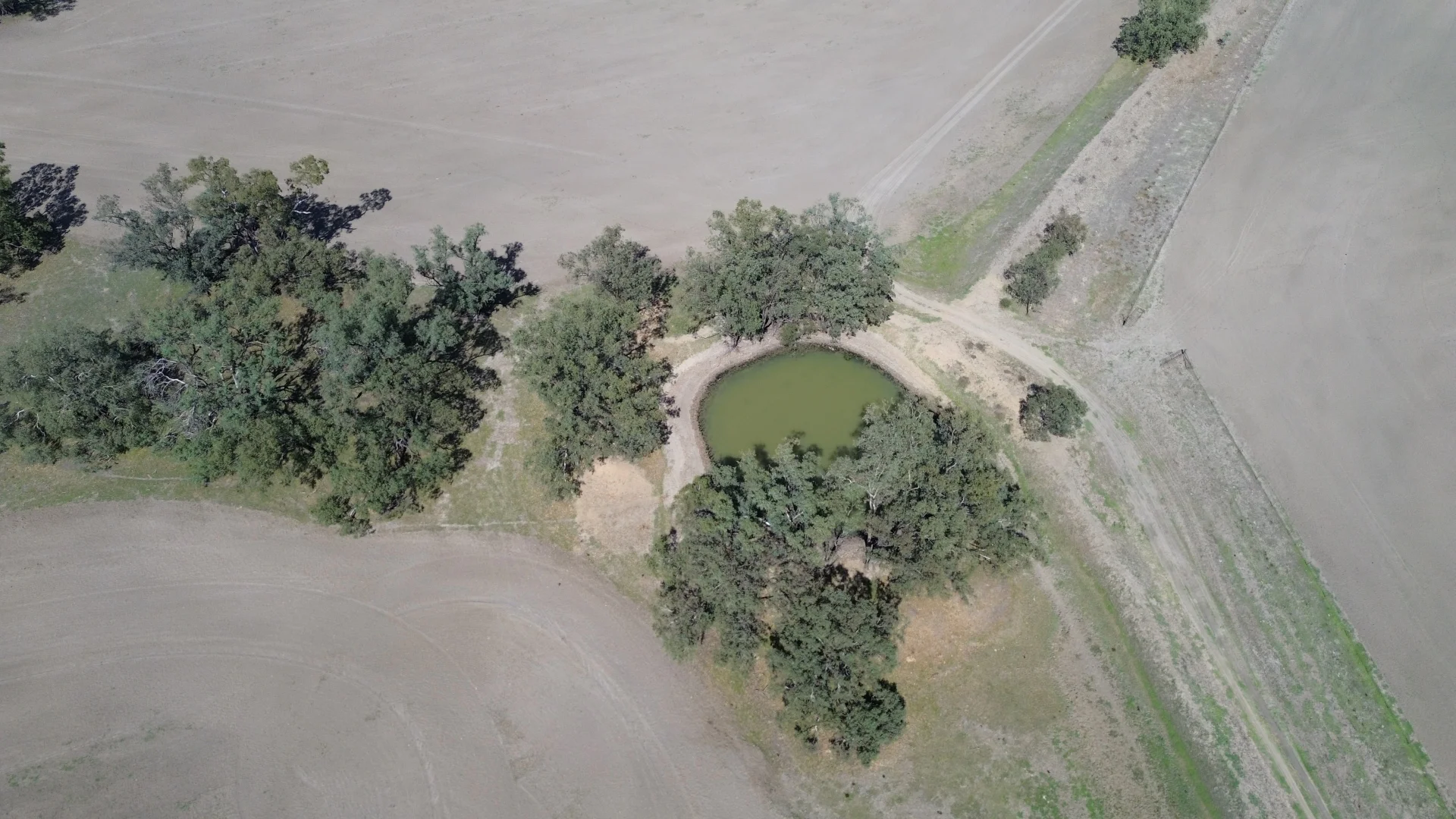 Additional image 2 of Forbes NSW 2871