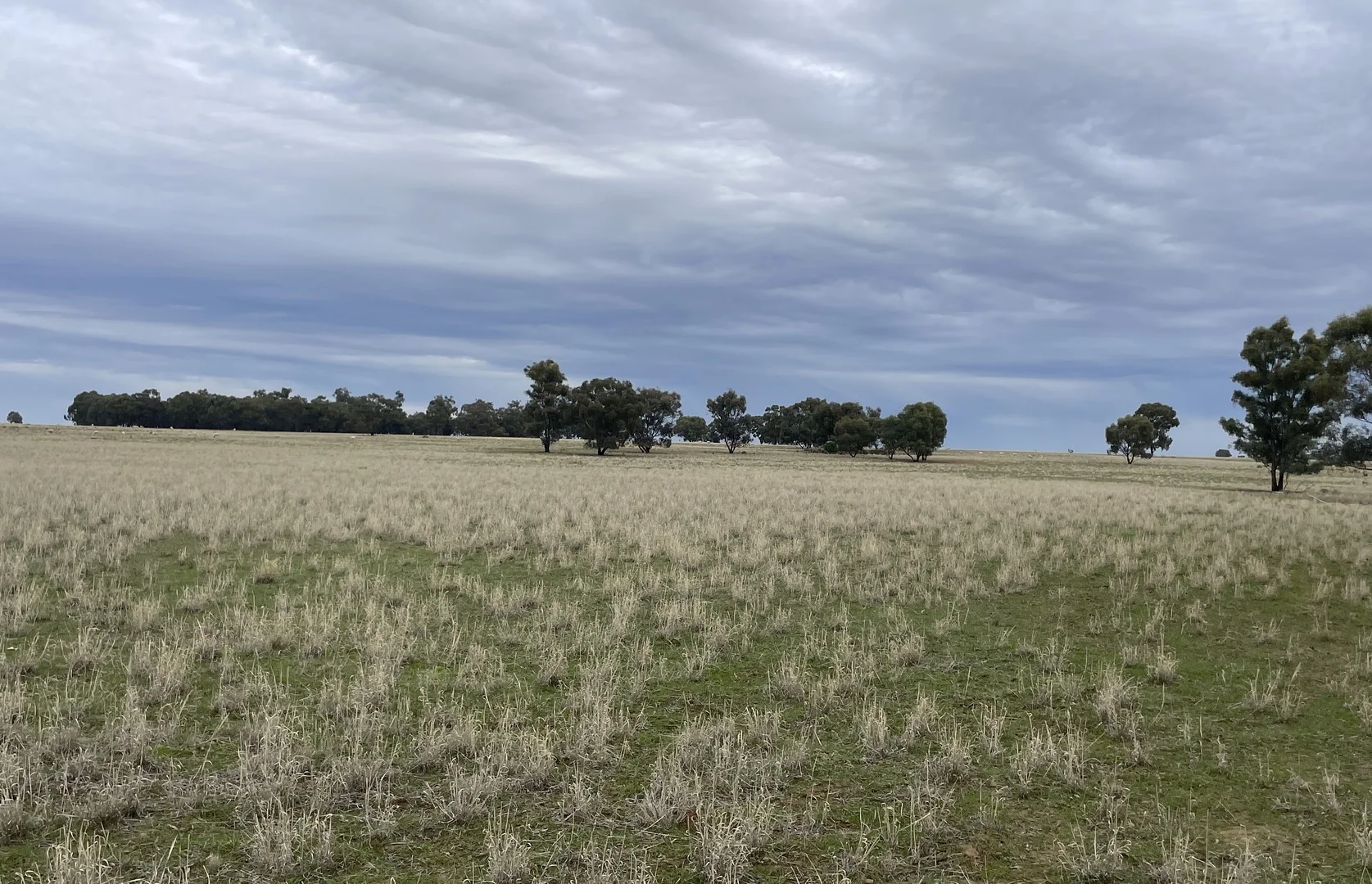'East Gathan' 509 Gathan Road, Deniliquin NSW 2710