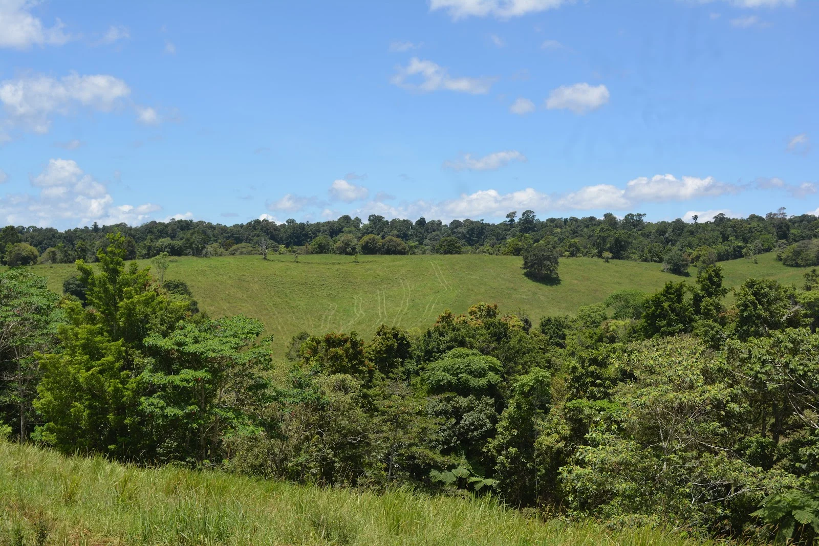 Additional image 49 of 780 MIDDLEBROOK ROAD, Millaa Millaa QLD 4886
