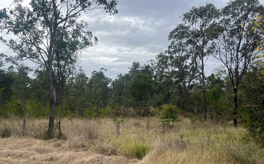 Additional image 5 of 8 Rifle Range Road, Gayndah QLD 4625