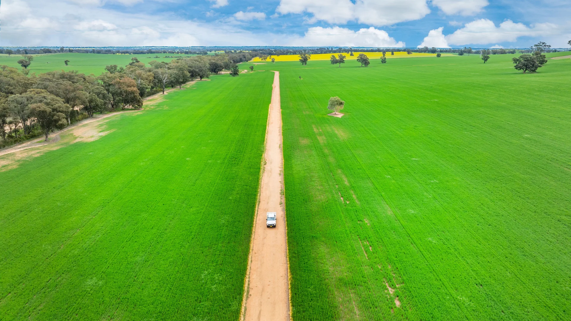 Additional image 5 of 1516 Osborne Pleasant HIlls Road, Pleasant Hills NSW 2658