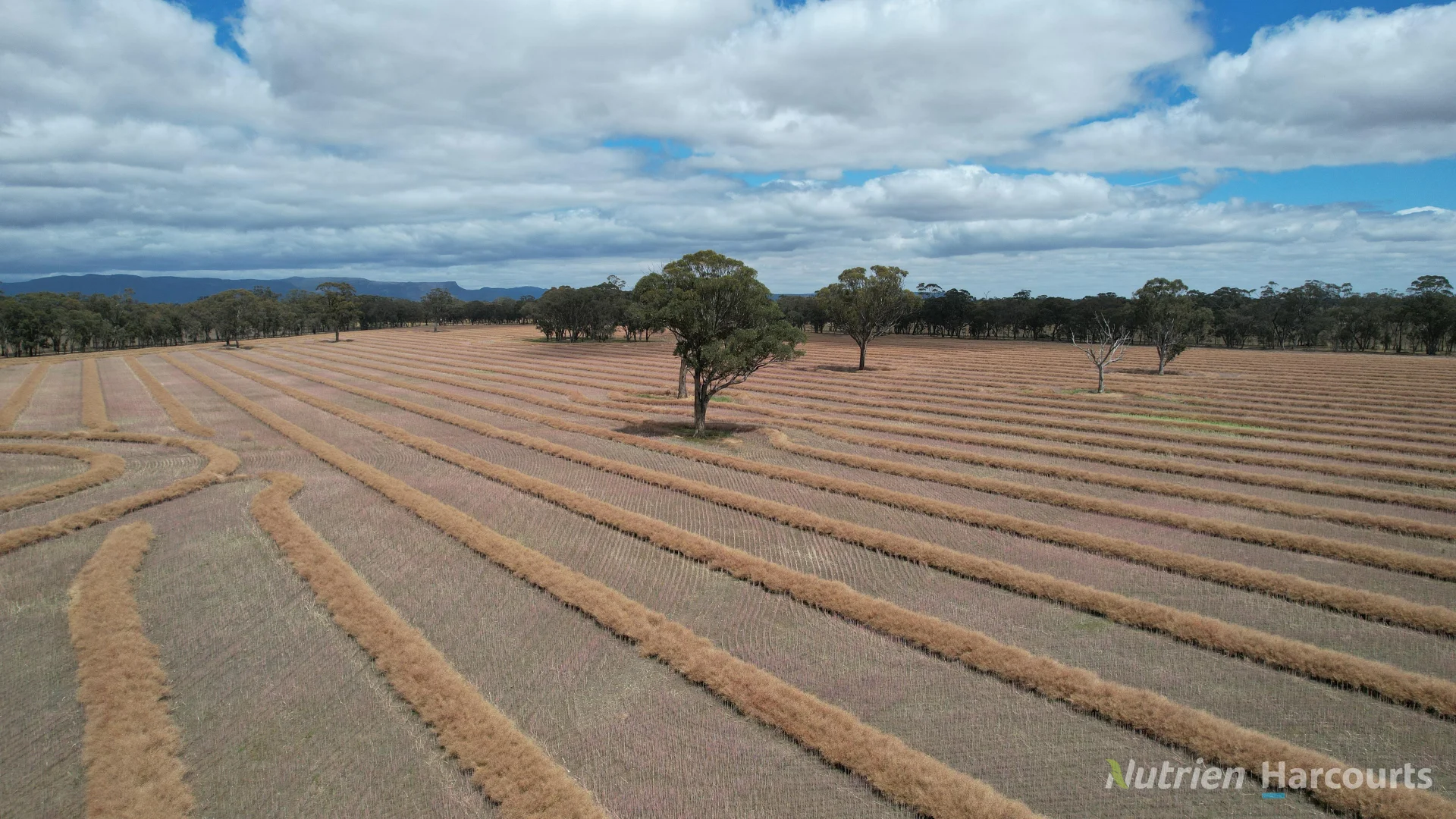 Additional image 4 of 190 Lake Road, Glenorchy VIC 3385