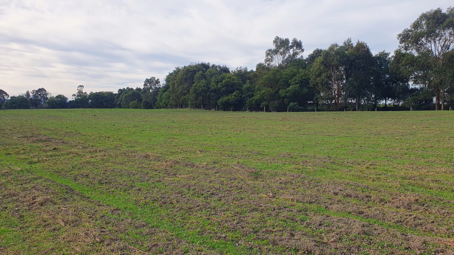 Additional image 8 of 2 Grammar Drive, Traralgon VIC 3844