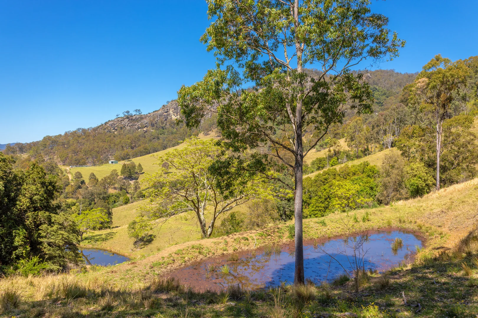 Additional image 15 of 233 Thunderbolts Way, Gloucester NSW 2422