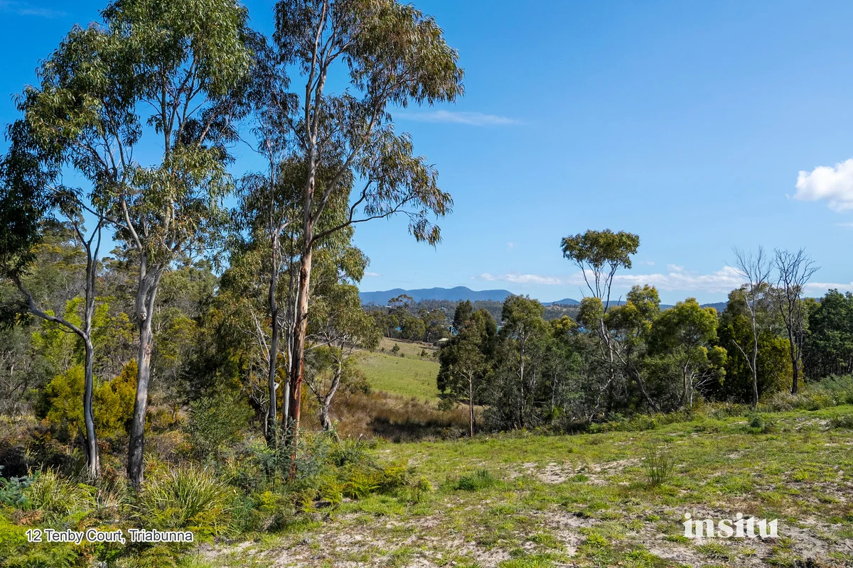 Additional image 13 of Tenby Court, Triabunna TAS 7190