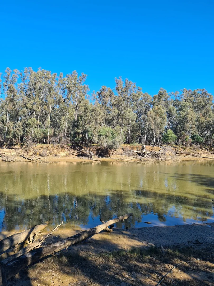 Additional image 16 of 78 Louies Hut Road, Moama NSW 2731