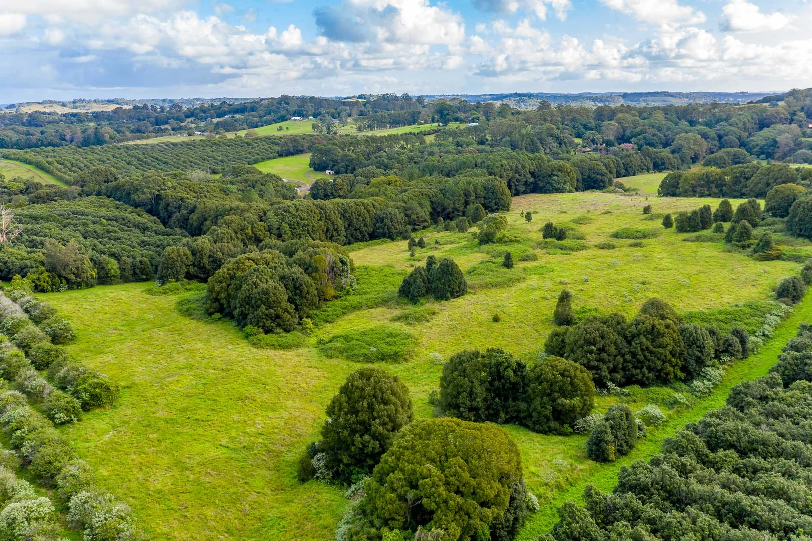 Additional image 19 of 311 Friday Hut Road, Brooklet NSW 2479