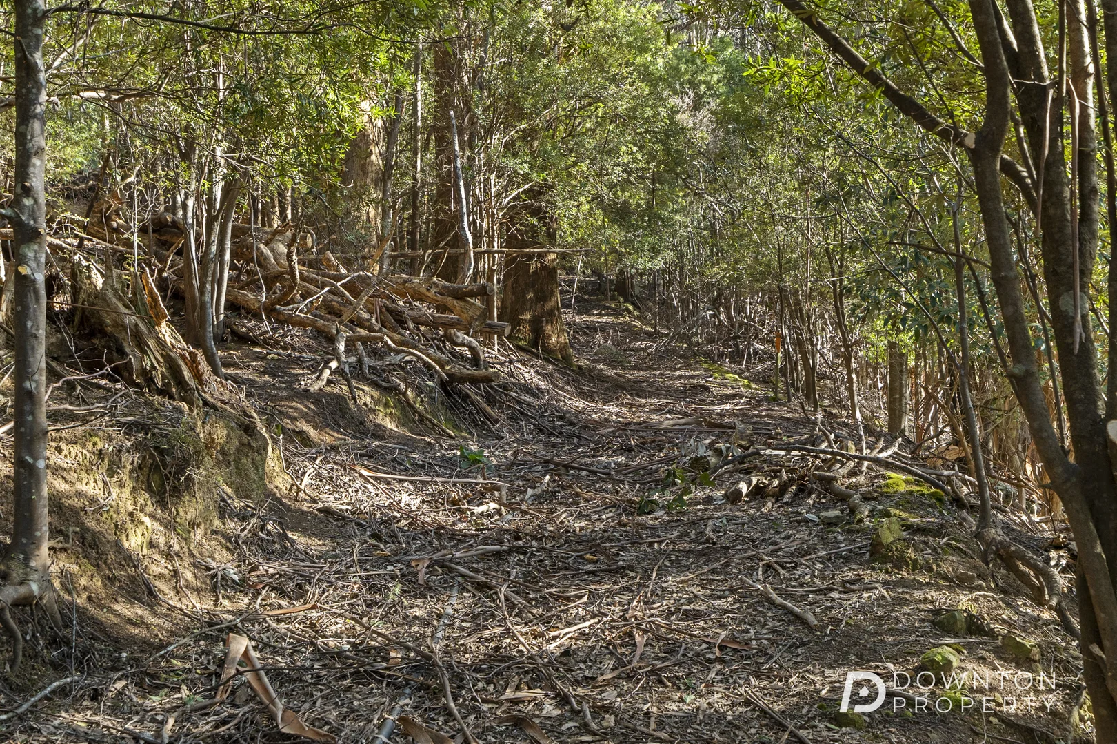 Additional image 10 of 37 Grays Road, Fern Tree TAS 7054