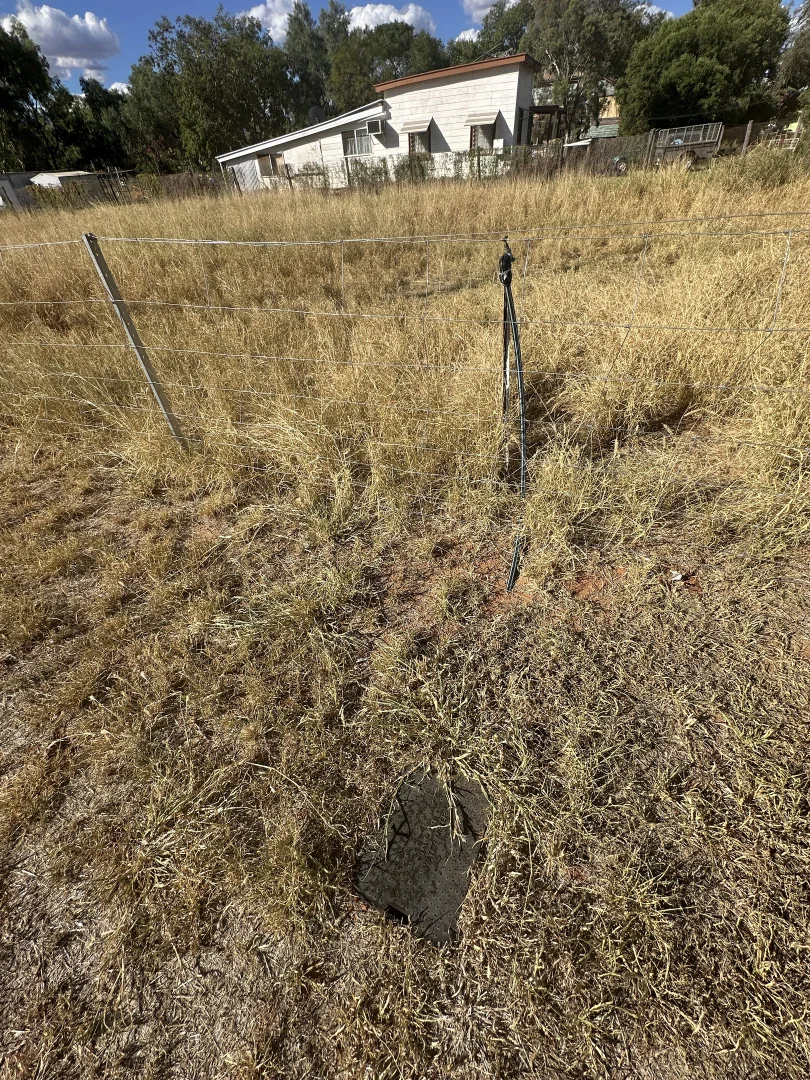 Additional image 3 of 21 Alfred Street, Charleville QLD 4470