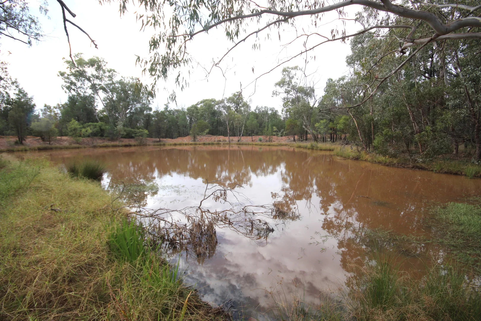 Additional image 12 of Lots 1 & N Yagaburne-Boondandilla Road, Boondandilla QLD 4406