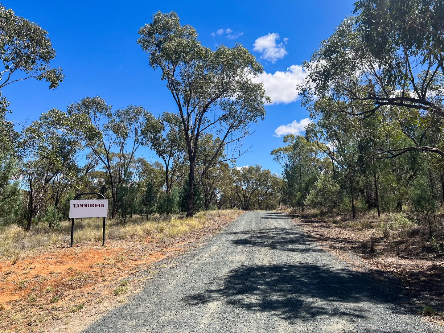 Additional image 34 of 357 Calleen Lane, West Wyalong NSW 2671