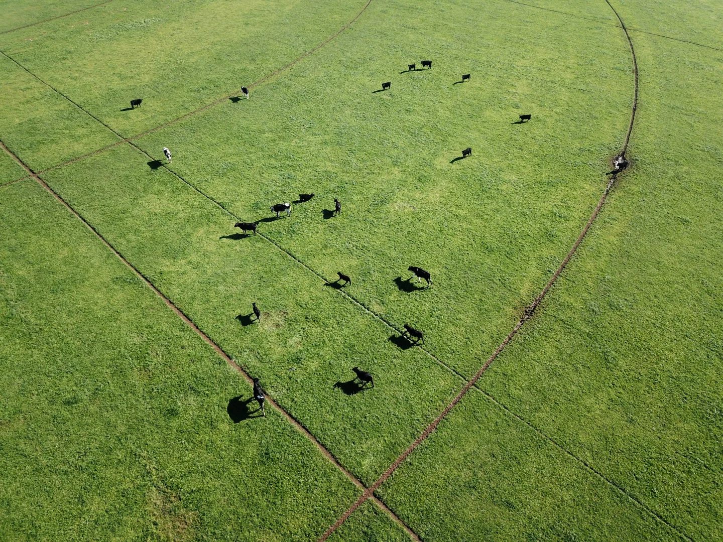 Additional image 4 of 75 Duckhole Flat Road, German Flat SA 5280