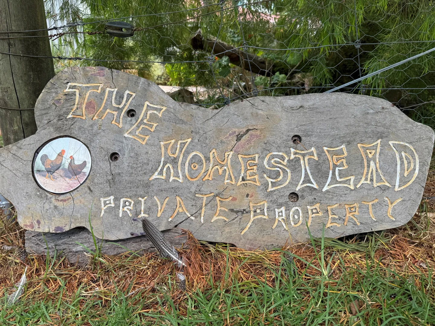 Additional image 27 of 57 Old School Road, Scotsdale WA 6333