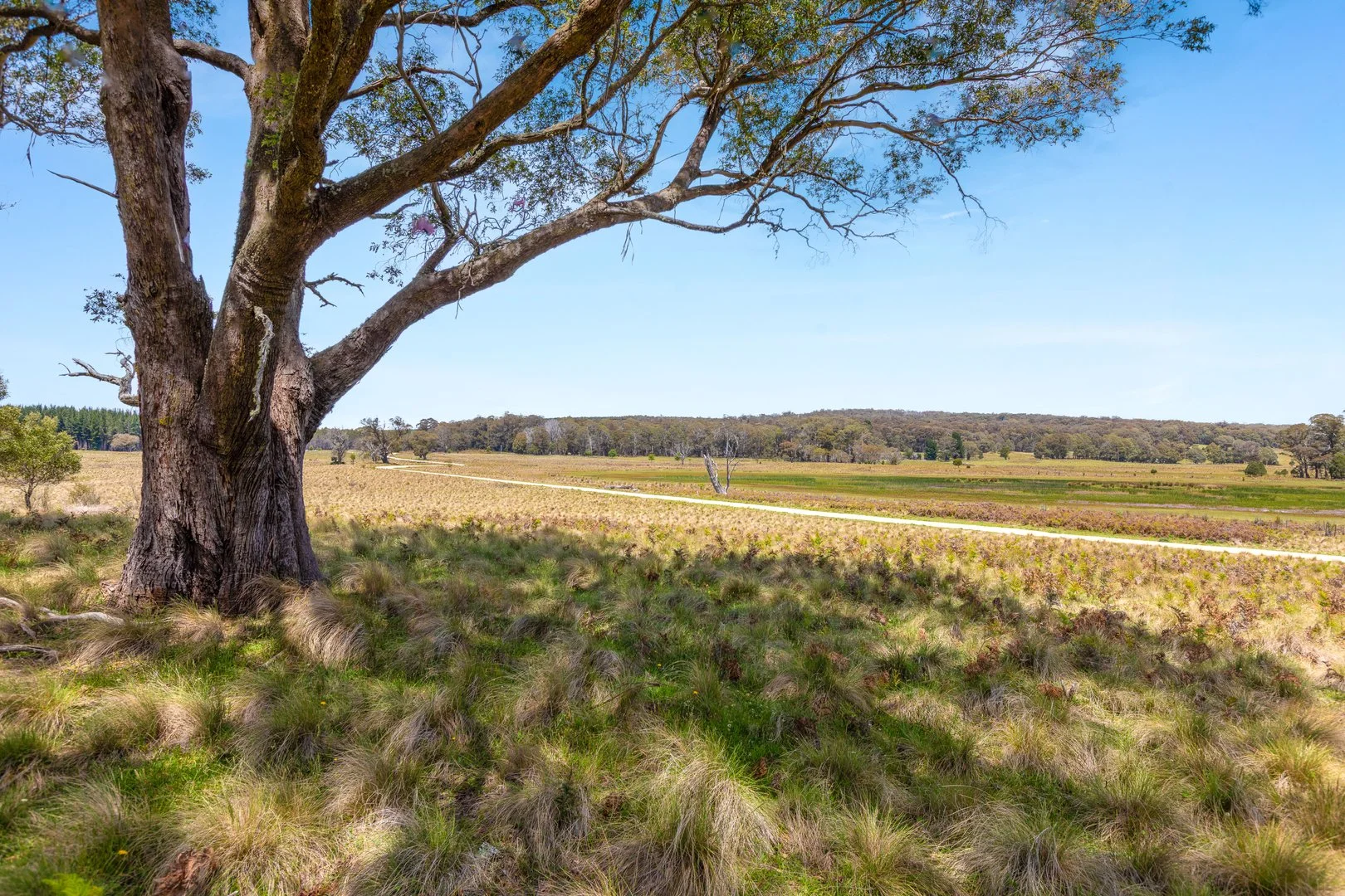 Additional image 17 of Thornleigh Coolangubra Road, Cathcart NSW 2632
