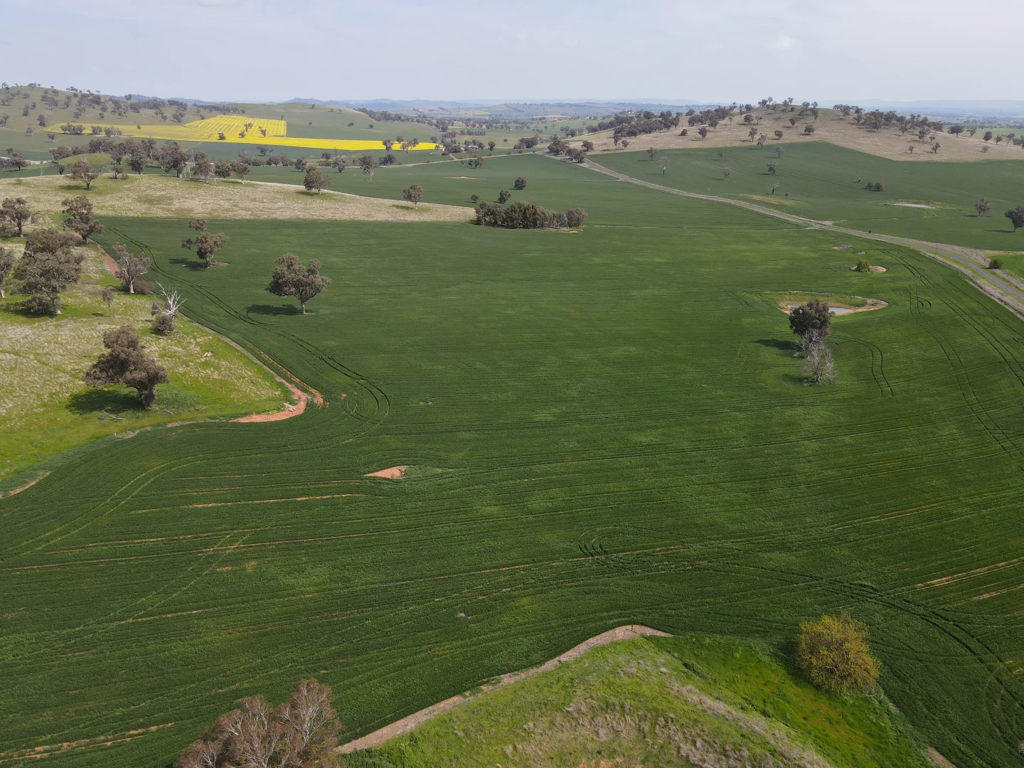 Additional image 4 of Woodstock NSW 2793