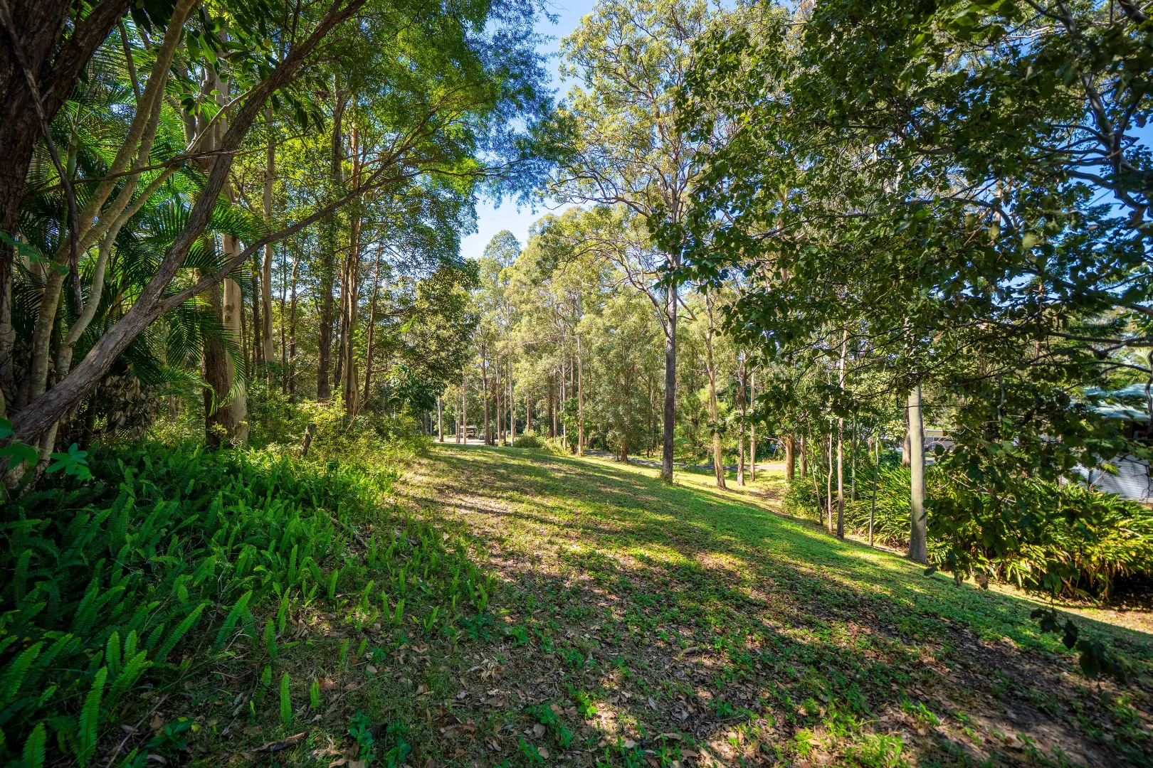 Additional image 16 of 45 Crosby Hill Road, Buderim QLD 4556
