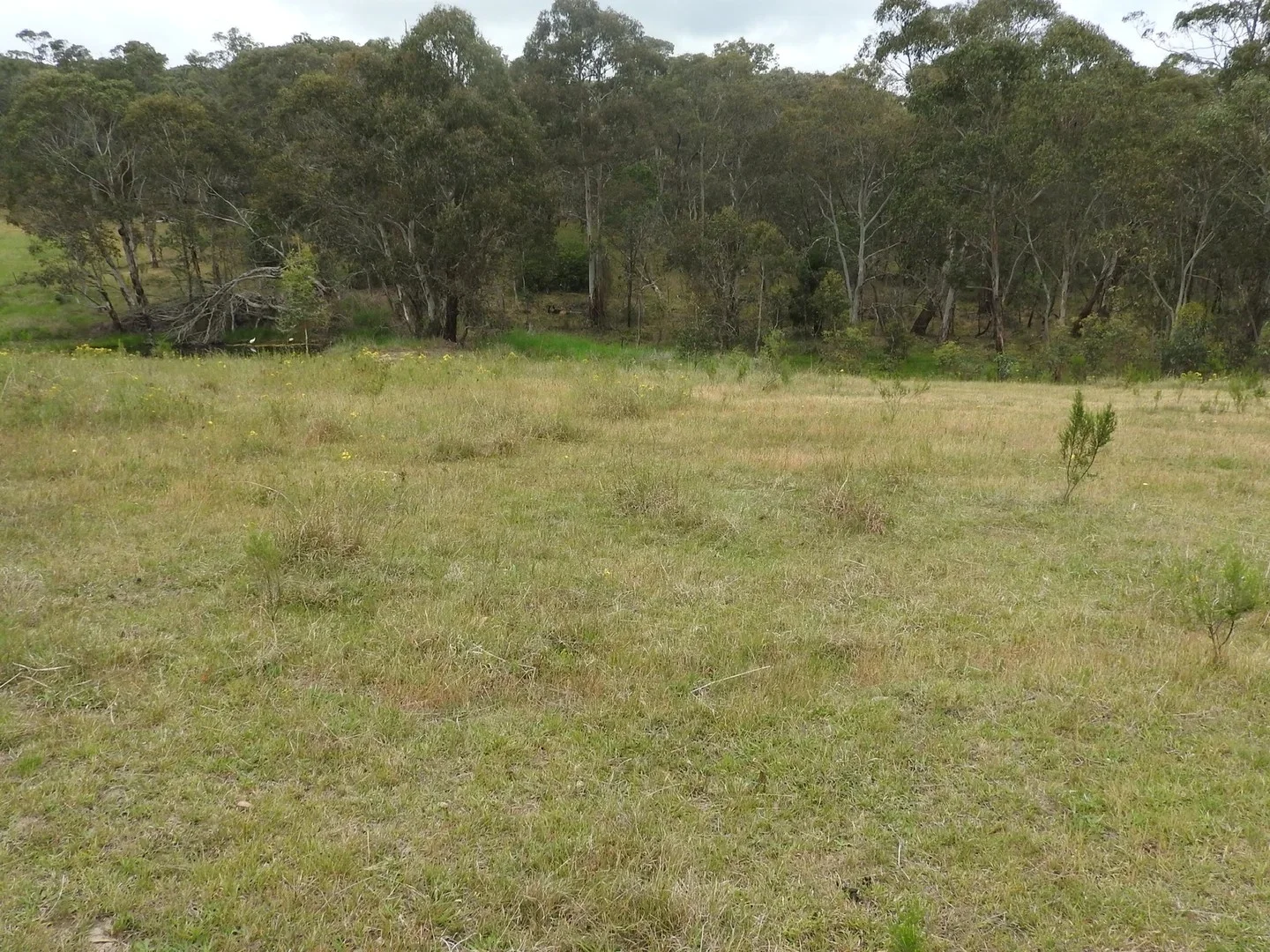 Additional image 3 of 158 Portland Sunny Corner Road, Portland NSW 2847