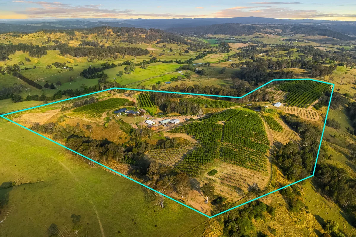 Additional image 4 of 323 Bingeebeebra Road, Bingeebeebra Creek NSW 2469