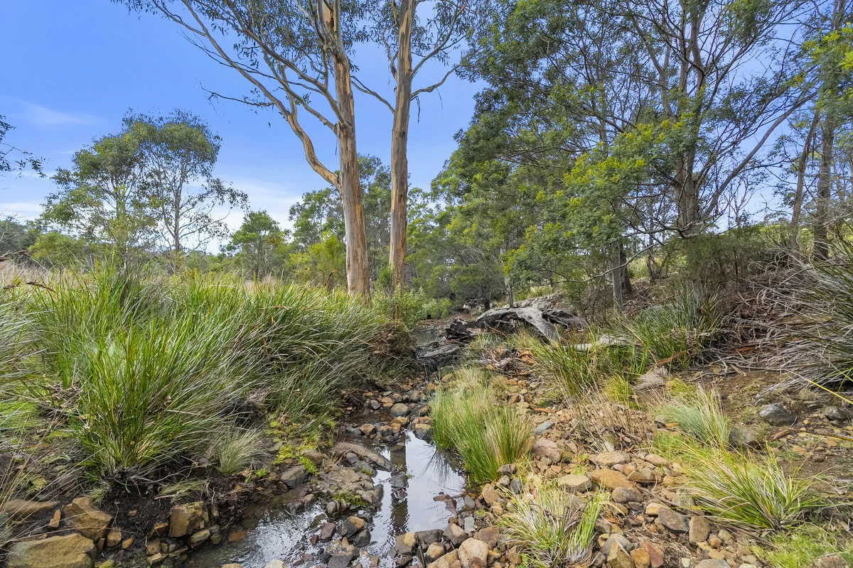 Additional image 29 of 1 & 2 Bresnehans Road, Little Swanport TAS 7190