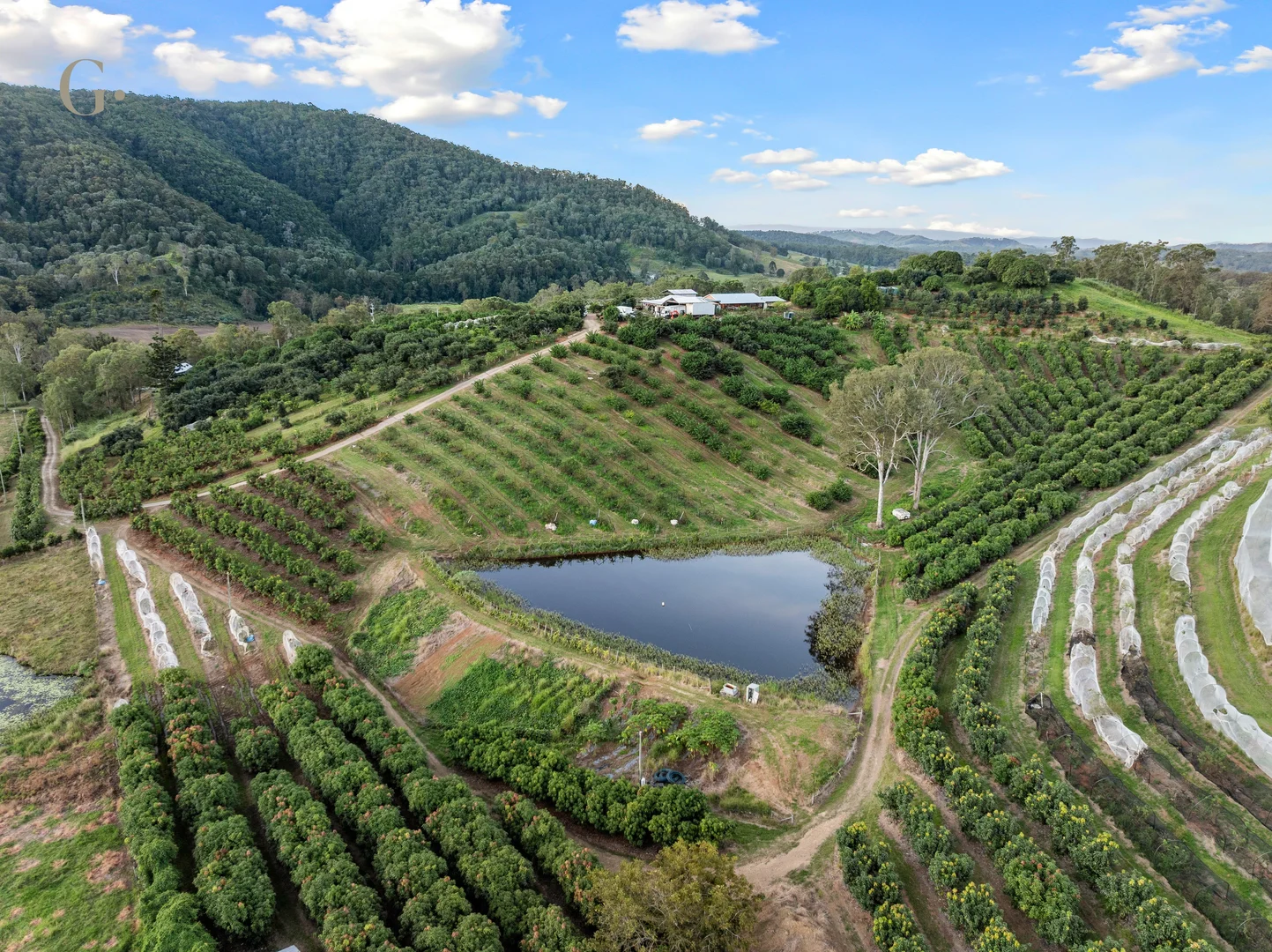 Additional image 21 of 1207 Kandanga Creek Road, Upper Kandanga QLD 4570