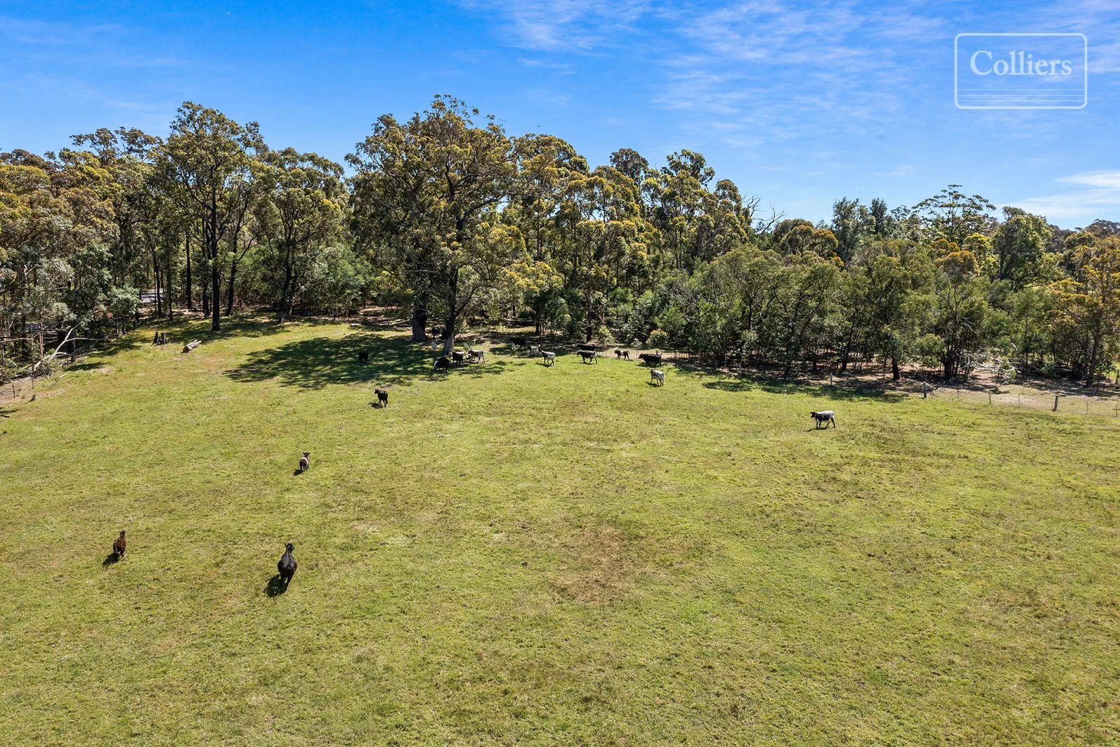 Additional image 20 of 227-229 Little Forest, Little Forest NSW 2538